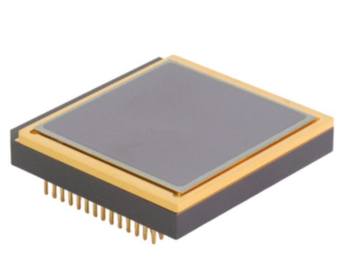 RTDS123C High-performance Ceramic Packaged LWIR Sensor